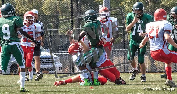 SJBSeptember 05, 2014-278
