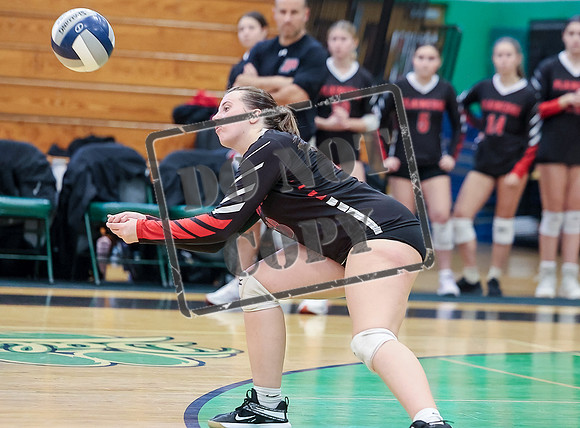 skWHEAT251109