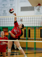 skWHEAT251109