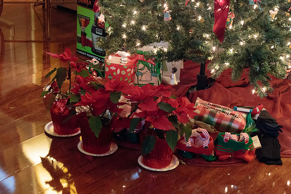 Christmas 2014-5-2
