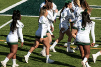2015 Homecoming Game