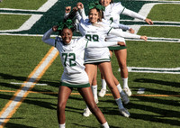 2015 Homecoming Game