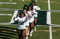 2015 Homecoming Game