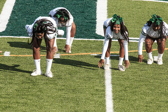 2015 Homecoming Game