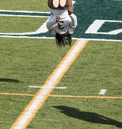 2015 Homecoming Game