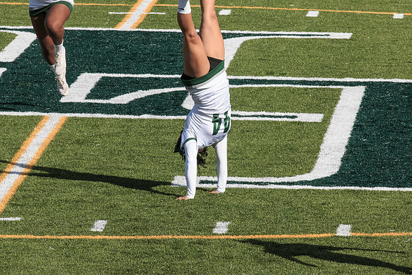 2015 Homecoming Game