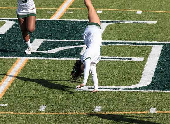 2015 Homecoming Game