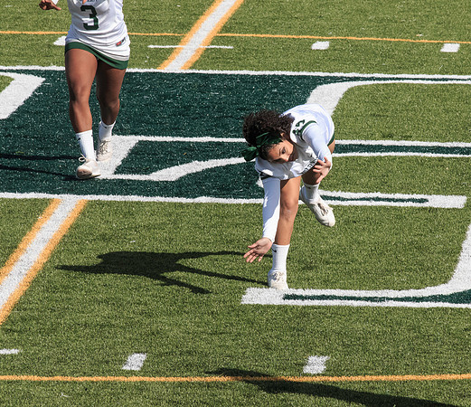 2015 Homecoming Game
