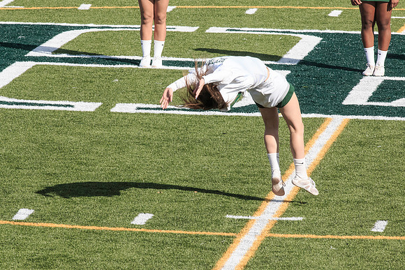 2015 Homecoming Game