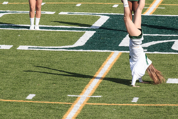2015 Homecoming Game