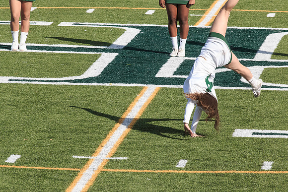 2015 Homecoming Game