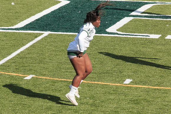 2015 Homecoming Game