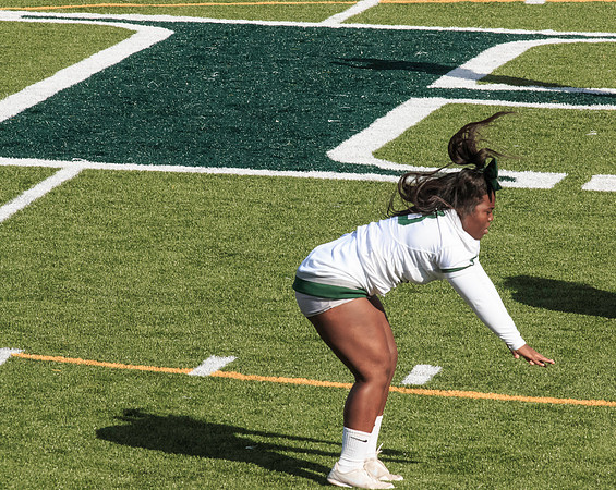 2015 Homecoming Game