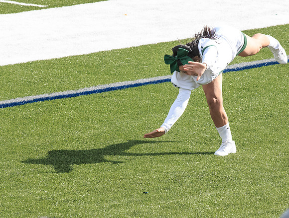 2015 Homecoming Game