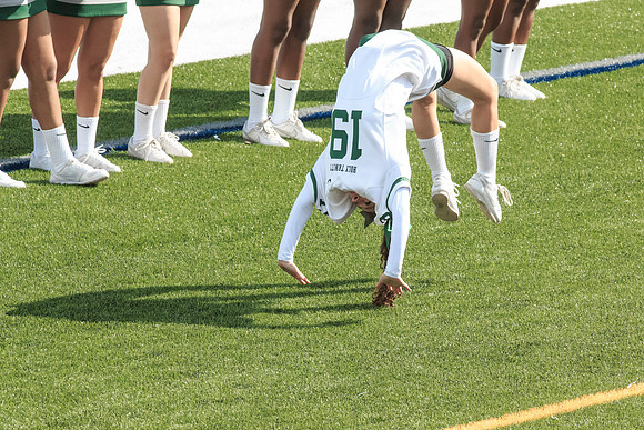 2015 Homecoming Game