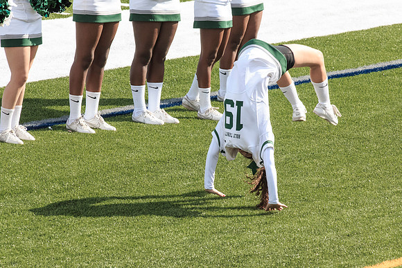 2015 Homecoming Game