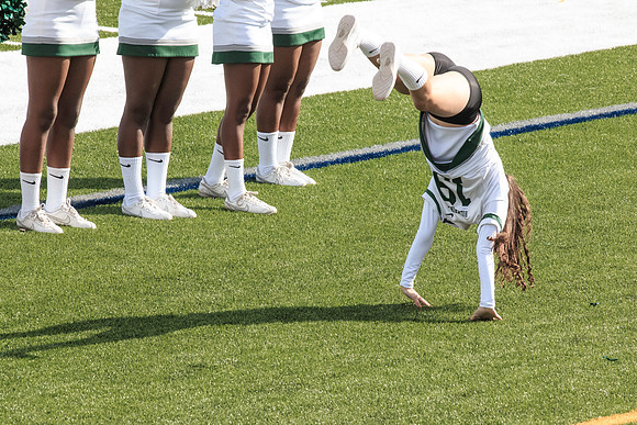 2015 Homecoming Game