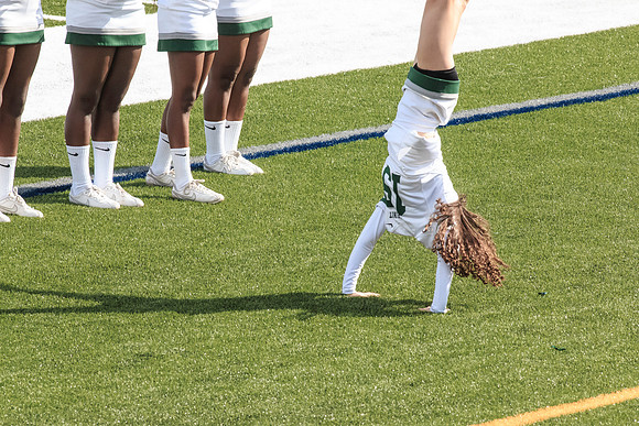 2015 Homecoming Game