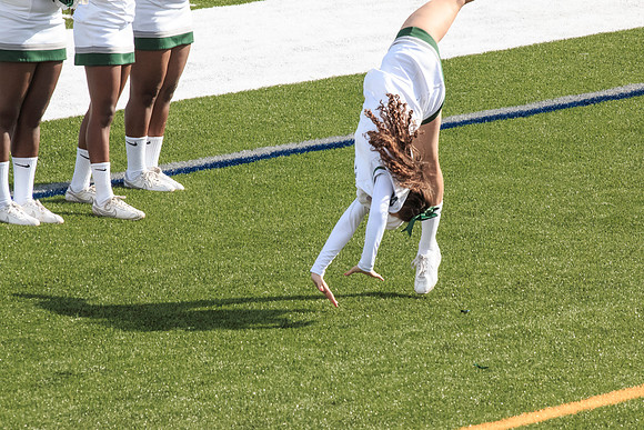 2015 Homecoming Game