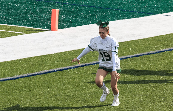 2015 Homecoming Game