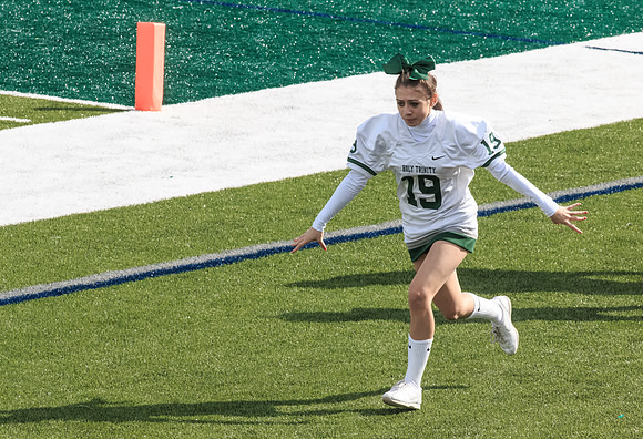2015 Homecoming Game