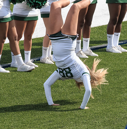 2015 Homecoming Game