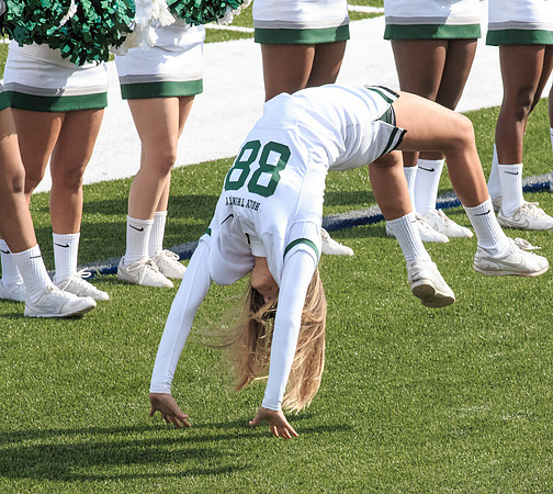 2015 Homecoming Game
