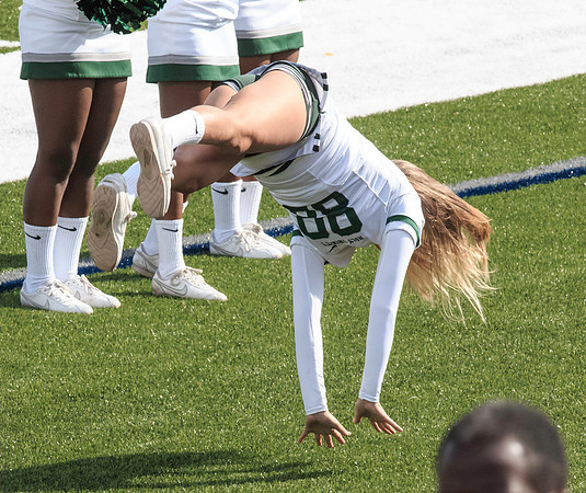 2015 Homecoming Game