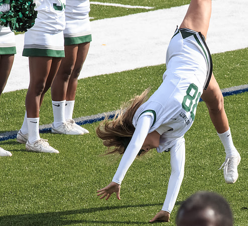 2015 Homecoming Game