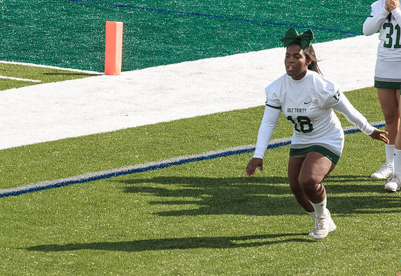 2015 Homecoming Game