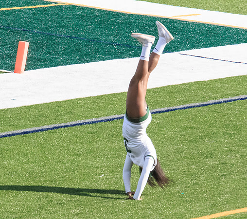 2015 Homecoming Game