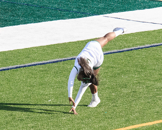2015 Homecoming Game