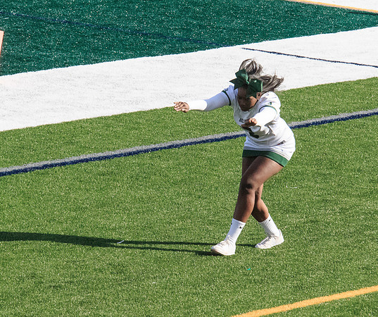 2015 Homecoming Game