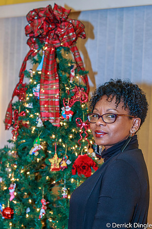Christmas 2015-13