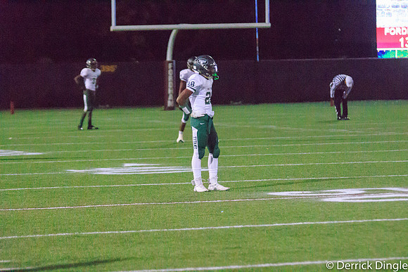 Quarterfinal Playoff Game