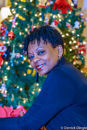 Christmas 2015-29-2