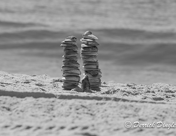 Summer Pt. Lookout, L.I. 20160809.jpg