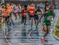 New York Relays
