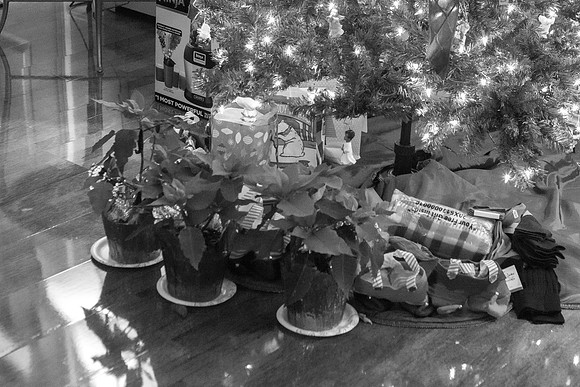 Christmas 2014-6-2