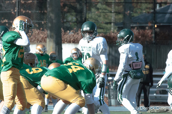 Playoffs Holy CrossNovember 07, 2014