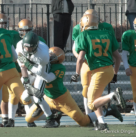 Playoffs Holy CrossNovember 07, 2014-62